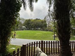 -四海公园(南山区)