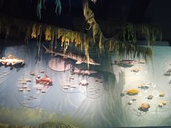-中国湿地博物馆