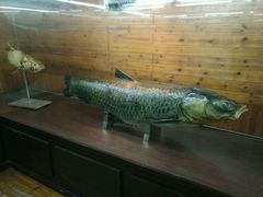 -南京金牛湖风景区