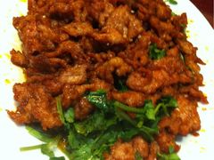孜然羊肉-大地烙馍村(商城路店)