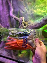 -酷嗒动物文化乐园(cutezoo西溪乐天城店)