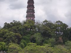 -顺峰山公园