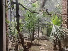 -鸡鸣汤包(红山动物园店)