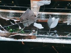 -红辣椒·川菜·火锅(张杨路店)