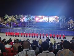 -三亚红色娘子军演艺公园景区