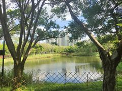 -福田红树林生态公园