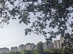 -西安汉城湖景区