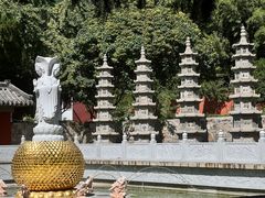 -泰山风景名胜区-普照寺