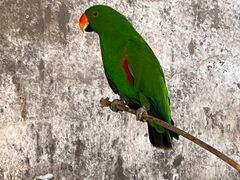 -森林公园(尖草坪区)