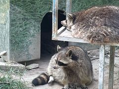 -青藏高原野生动物园