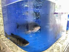 -香山湖渔家大院