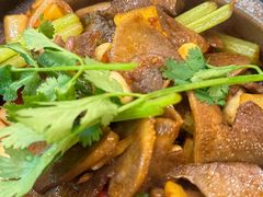 -绿柠食堂(北外滩店)