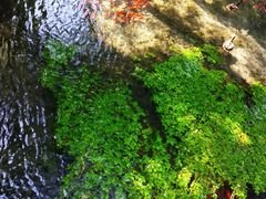 -水磨沟公园