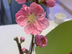 -眉州东坡(中关村店)