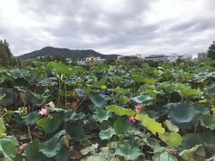 -浙江农林大学(东湖校区)