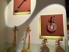 -西双版纳原始森林公园