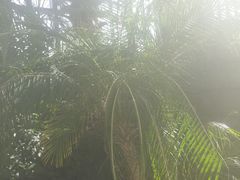 -郑州银基黄帝宫御温泉