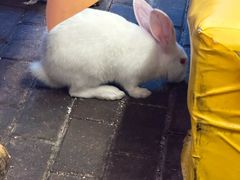 -小桥衢州人家·海鲜烧烤·盱眙龙虾(万达水街店)