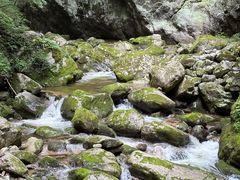 -牛背梁国家森林公园