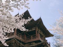 -西安青龙寺遗址景区