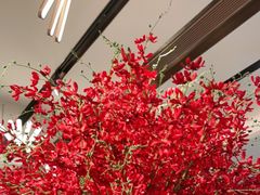 -望湘园·小雅(德基店)