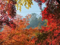 -狼山风景名胜区