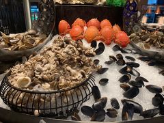 -安蒂娅·海鲜自助餐厅(安蒂娅美兰酒店)