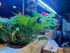 -望京一号·重庆江湖菜(工体店)