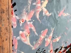 -香麒园·过桥米线·南湖雅宴
