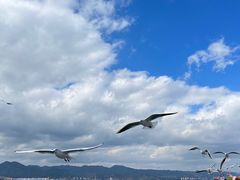 -海埂大坝