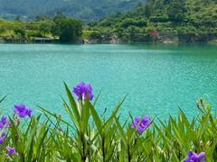 -水濂山森林公园