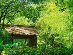 -兰亭风景区