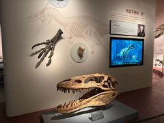-自贡恐龙博物馆