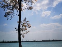 -漕湖湿地公园