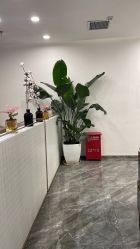 点击看大图 -崇尚GAVIN STYLE