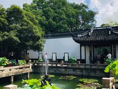 -上海醉白池公园