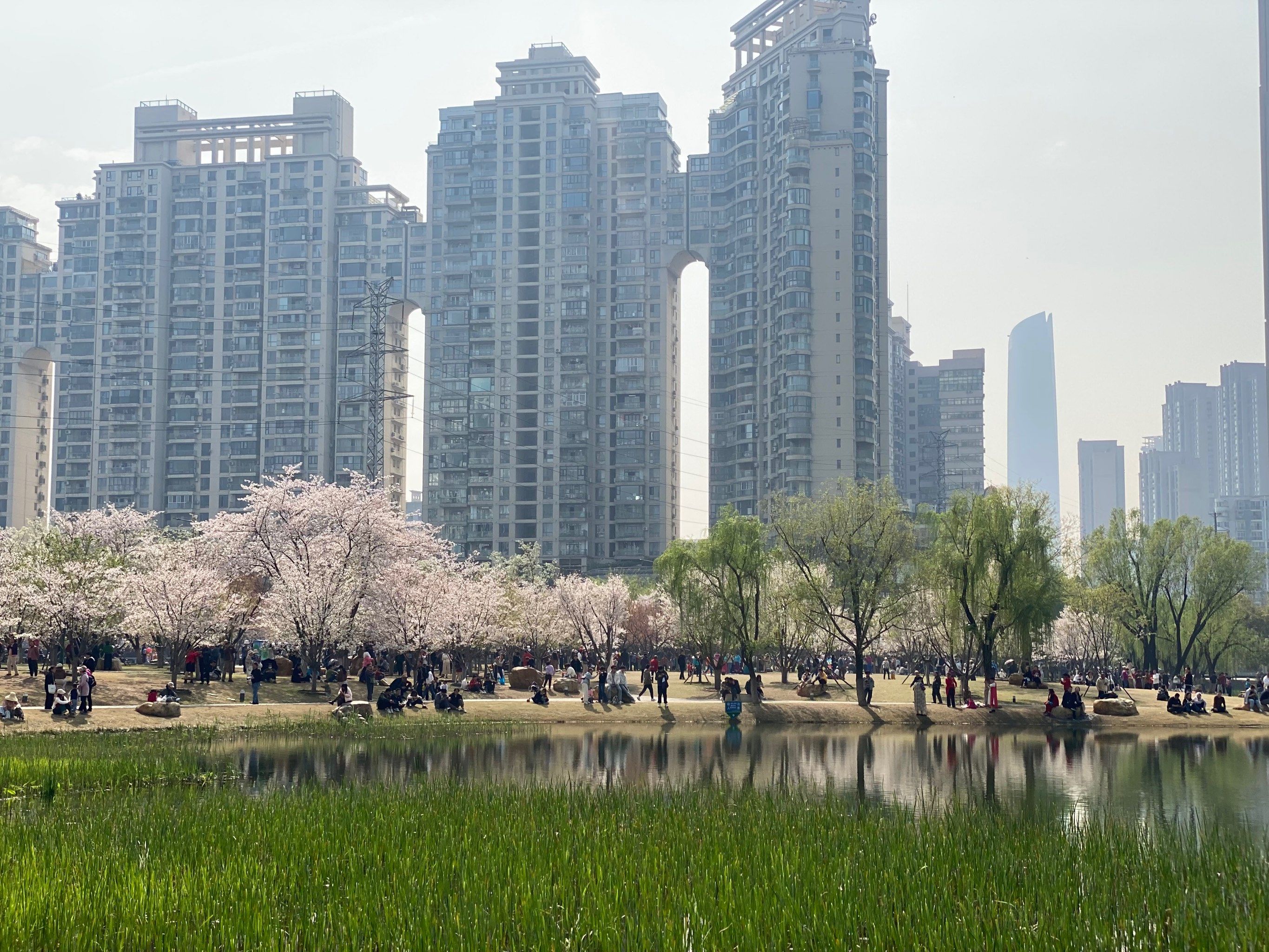 美丽的西北湖公园
