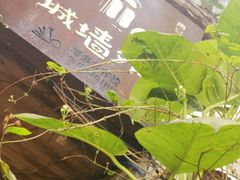-城墙外BAR