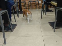 -珊珊小笼馆(仙霞路店)