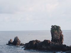 -涉地可支