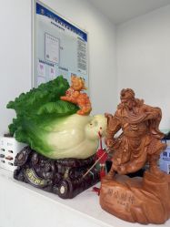 -斐尔国际皮肤管理中心