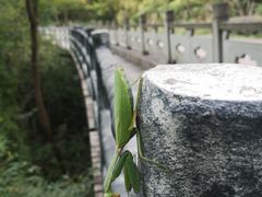 -宁波五龙潭景区