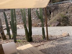 -MOJ coffee(瓯海泽雅水碓坑店)