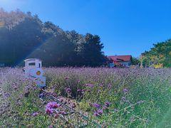-云峰山自然风景区