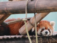 -无锡动物园·太湖欢乐园