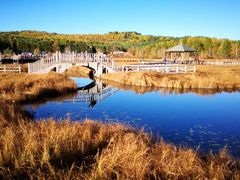 -塞罕坝国家级自然保护区