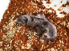 -海底捞火锅(老城根店)