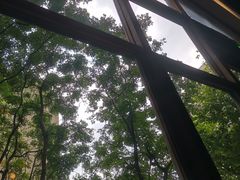 -VESH COFFEE(定西路店)