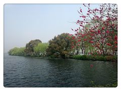 -苏堤停车场
