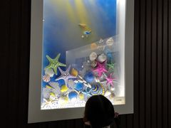 -贝壳王国博物馆